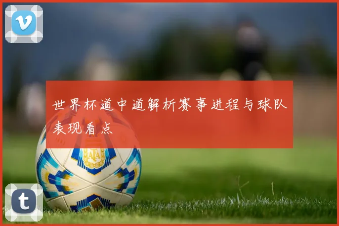 世界杯道中道解析赛事进程与球队表现看点