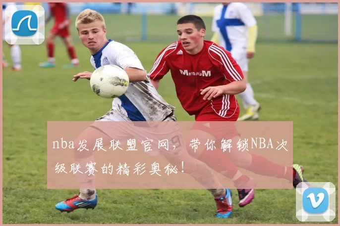 nba发展联盟官网，带你解锁NBA次级联赛的精彩奥秘！