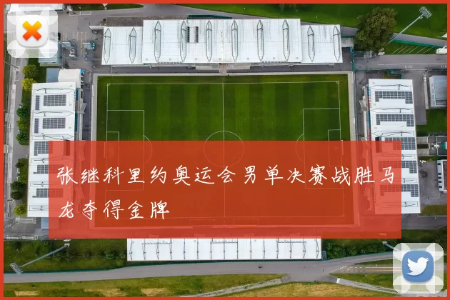 张继科里约奥运会男单决赛战胜马龙夺得金牌