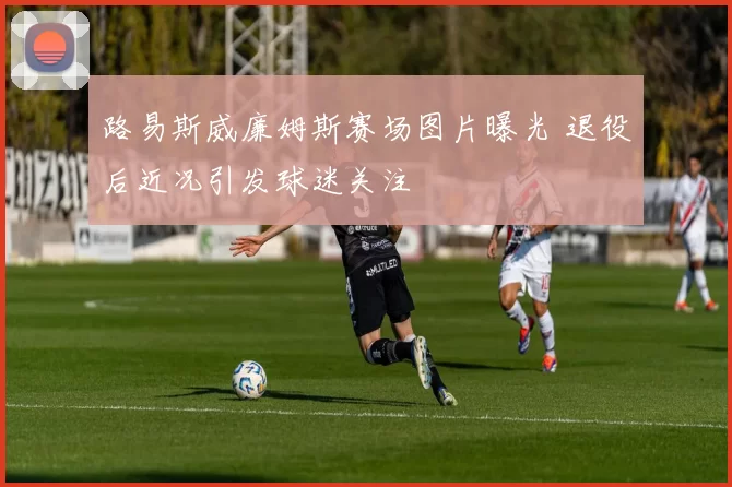 路易斯威廉姆斯赛场图片曝光 退役后近况引发球迷关注